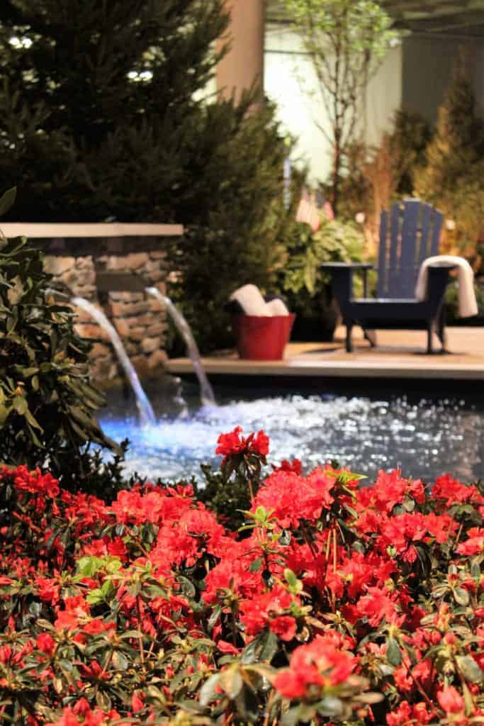 Backyard Fountain with Red Flowers