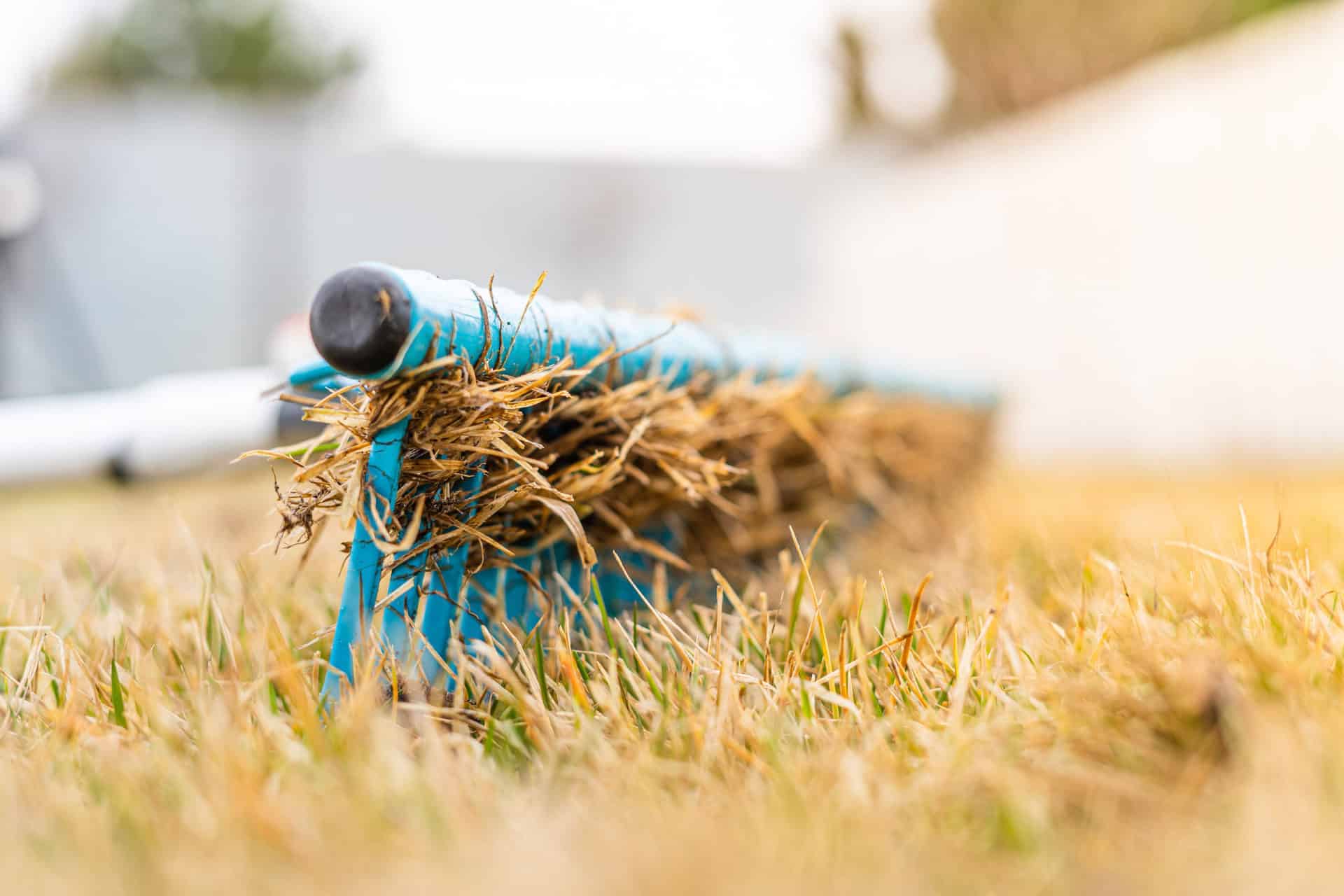 Aeration of the lawn after winter with a rake and removal of dea