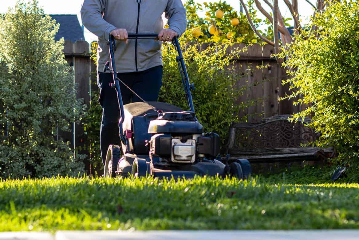 Winter-Lawn-Care