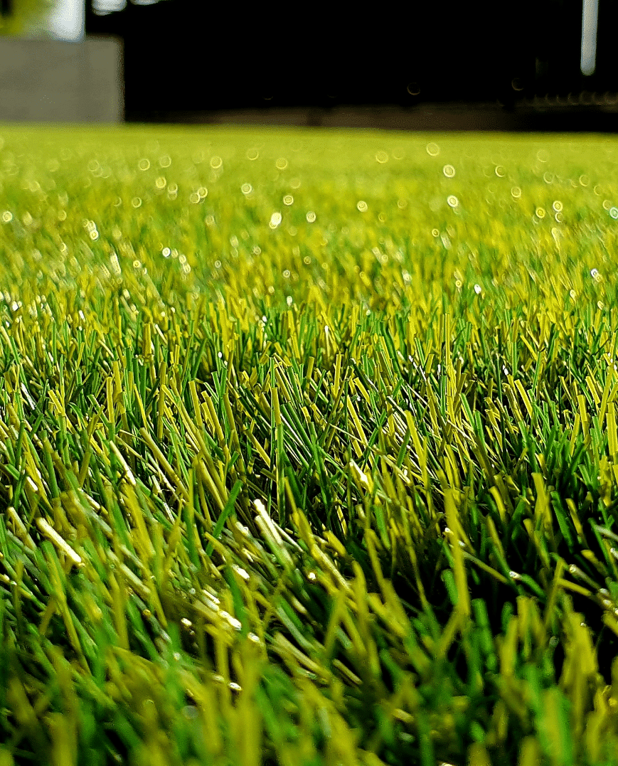 petar-tonchev-c-5-QE5kBYk-unsplash